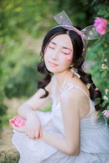 与凤行电视剧在线观看
