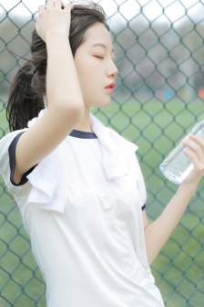 决战燕子门下载